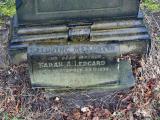 image of grave number 570334